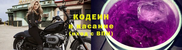 эйфоретик Баксан