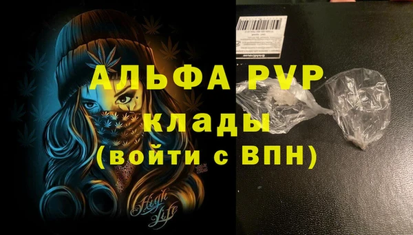 эйфоретик Баксан