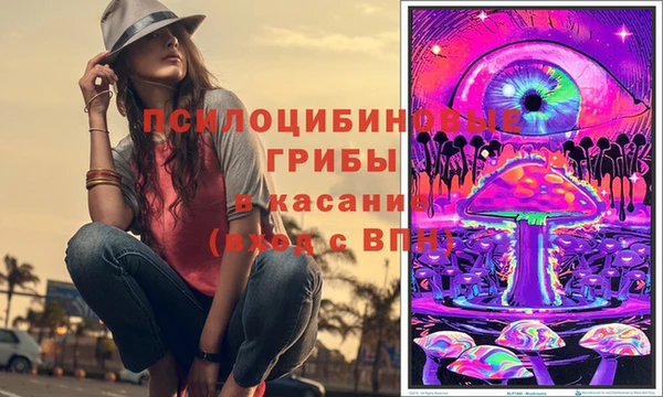 эйфоретик Баксан