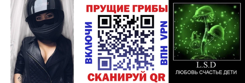 Псилоцибиновые грибы прущие грибы  цены   Кущёвская 